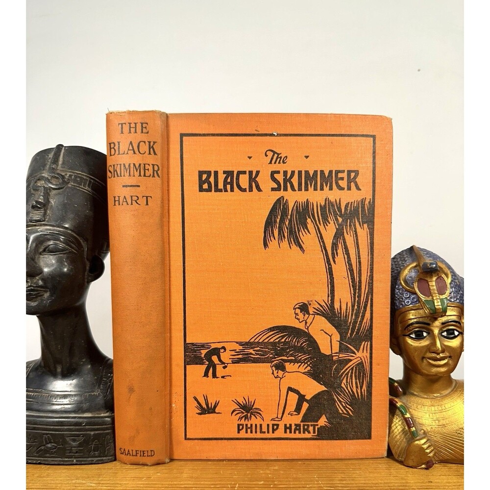 The Black Skimmer by Philip Hart 1930 Rare HC boys' adventure novel Illustrated